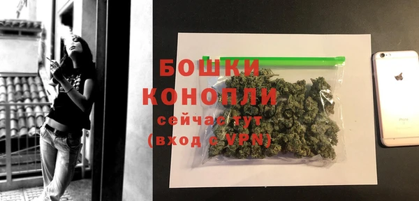 Альфа ПВП Верея