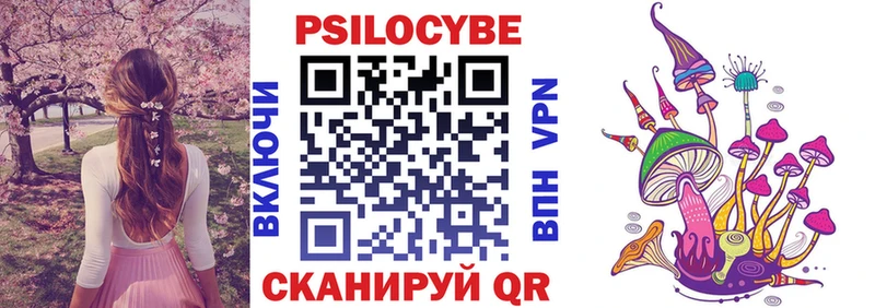 Купить Апшеронск Псилоцибиновые грибы мицелий